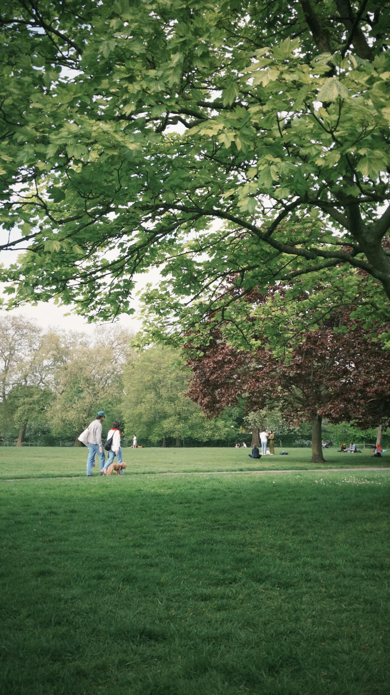 Jeda Singkat untuk Menikmati Suasana Sehari-hari